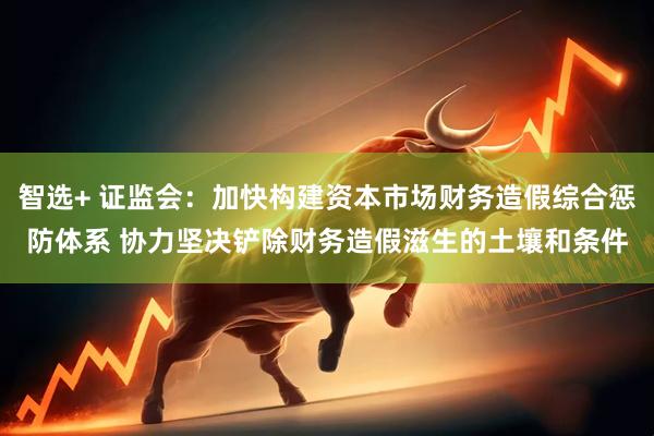 智选+ 证监会：加快构建资本市场财务造假综合惩防体系 协力坚决铲除财务造假滋生的土壤和条件
